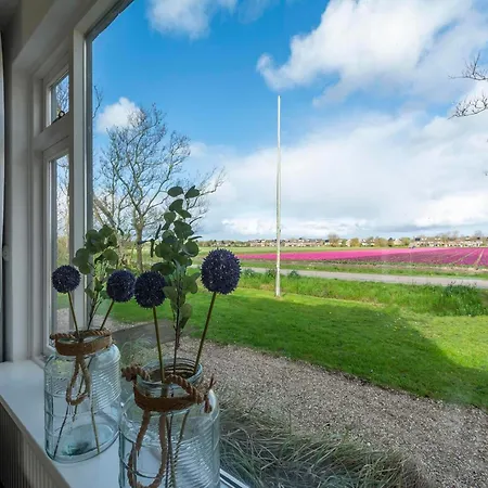 Holiday Home Near Duynpark With Whirlpool Villa