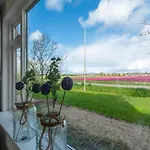 Spacious With Garden Βίλα